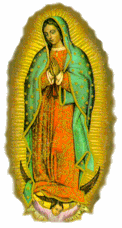 Virgin of Guadalupe